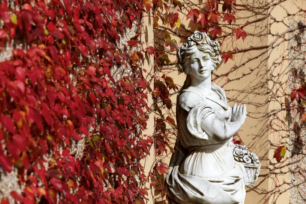 OHEKA statue surrounded by Autumn Ivy on wall